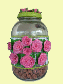 Vidro Amendoim